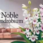 Noble dendrobium en fleurs dans un salon lumineux